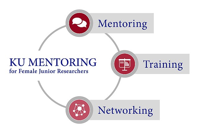 Structure of the KU Mentoring Program