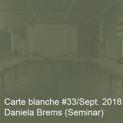 Carte blanche #33 Seminar Daniela Brems Startbild