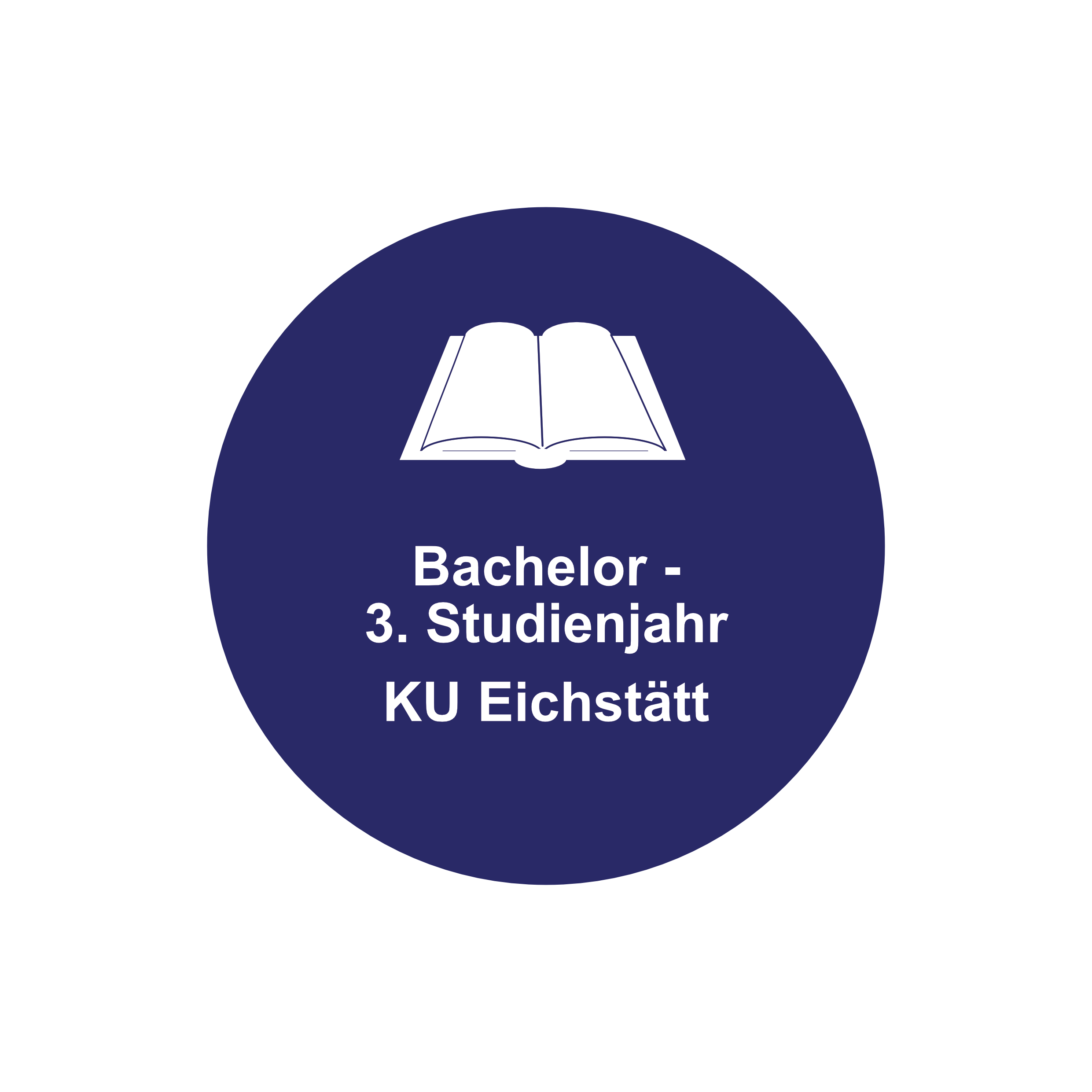 Logo Bachelor III