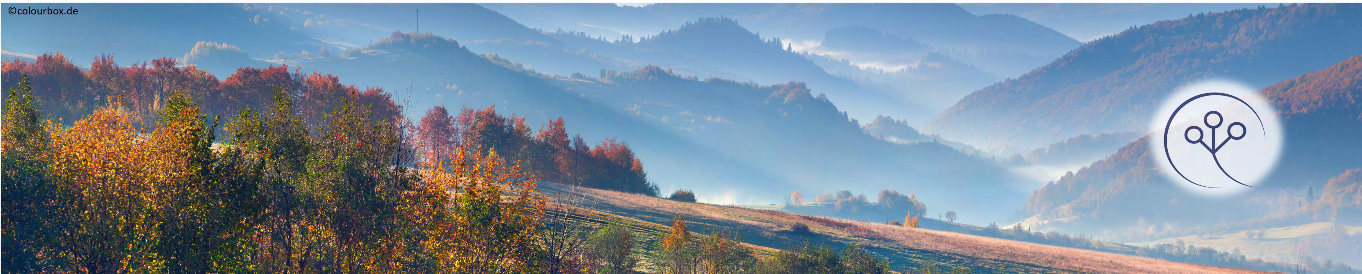 Header Herbstwald mit kleinem Logo der Professur