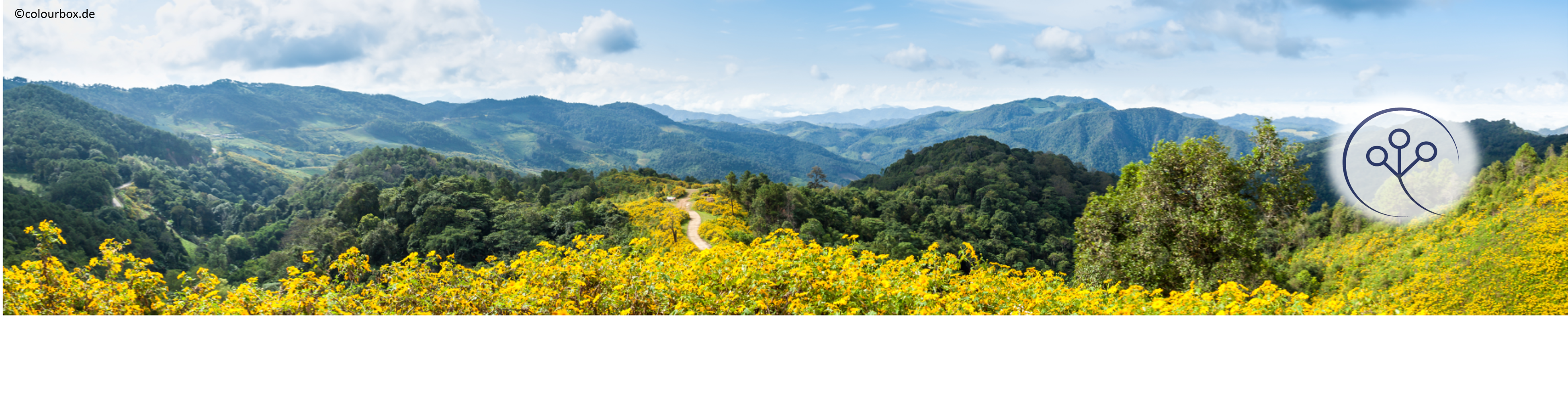 Header Landschaft mit gelben Blüten mit kleinem Logo der Professur