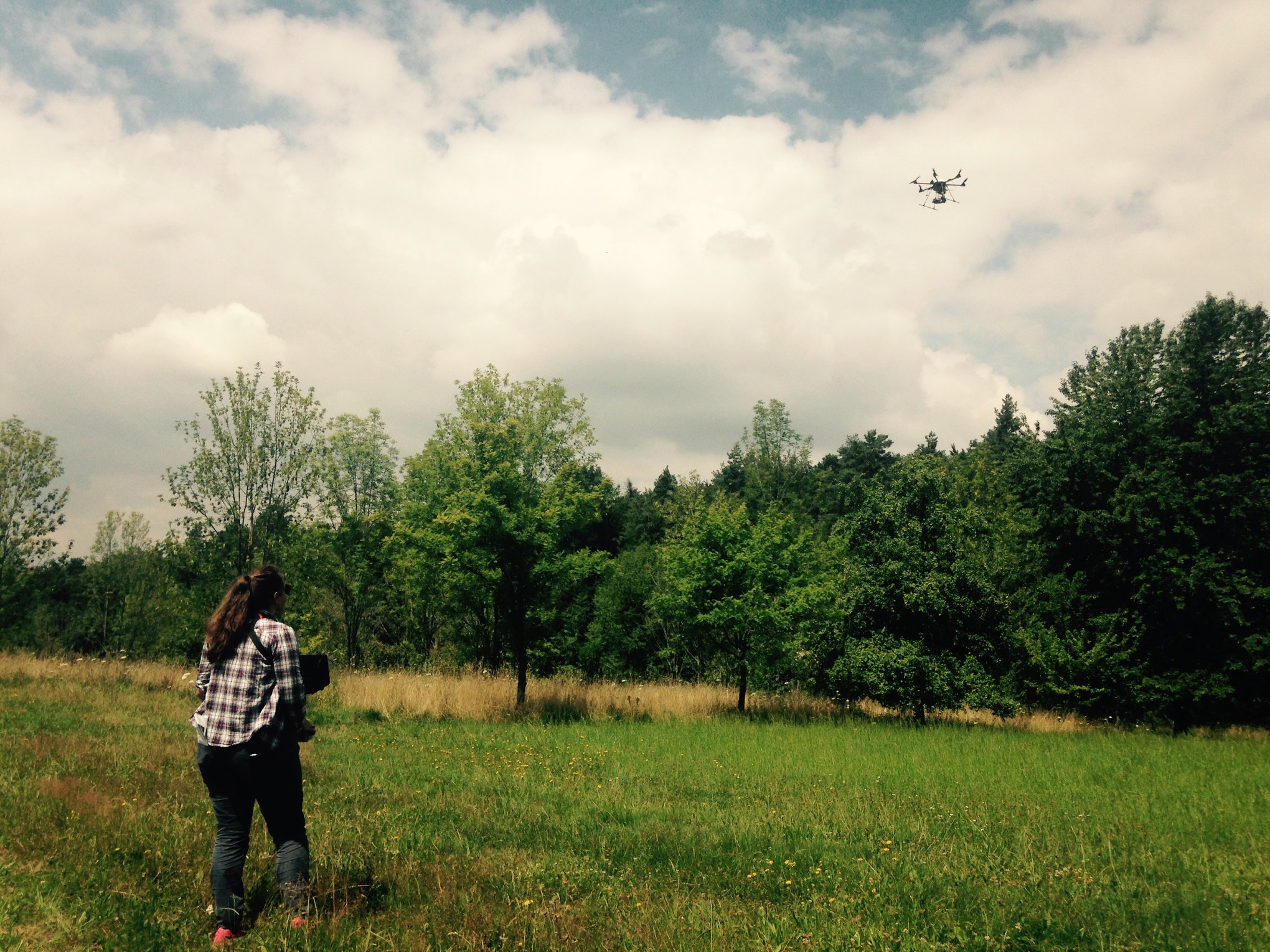 Aufnahme von Luftbildern mittels Drohne in einer Eschenplantage bei Schorndorf.