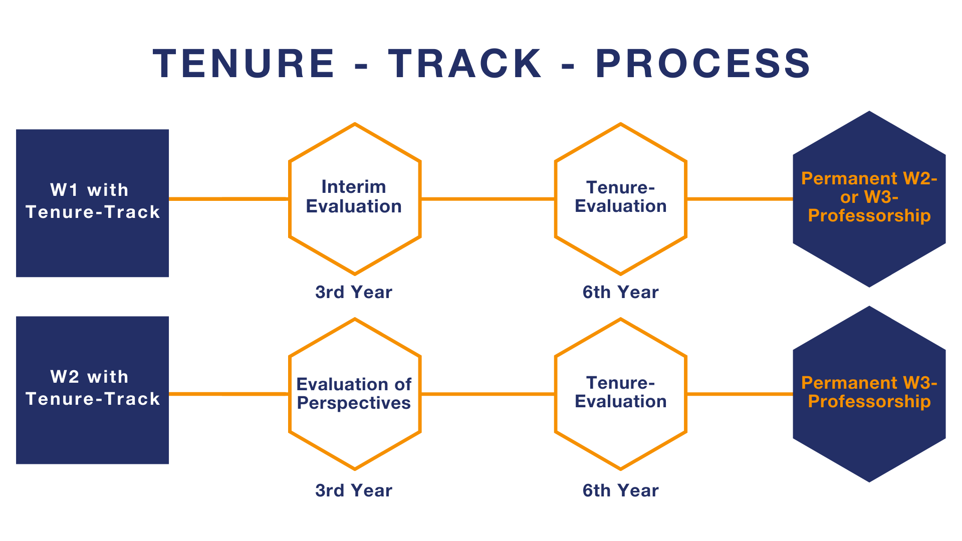 Tenure-Track-Process