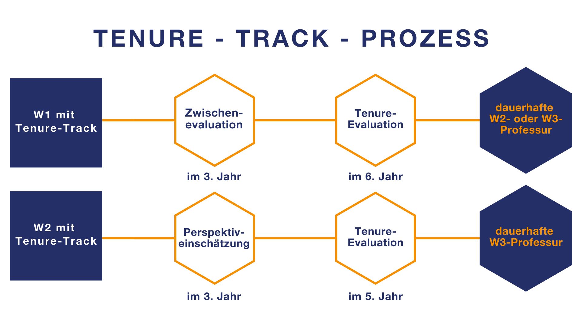 Tenure-Track-Prozess