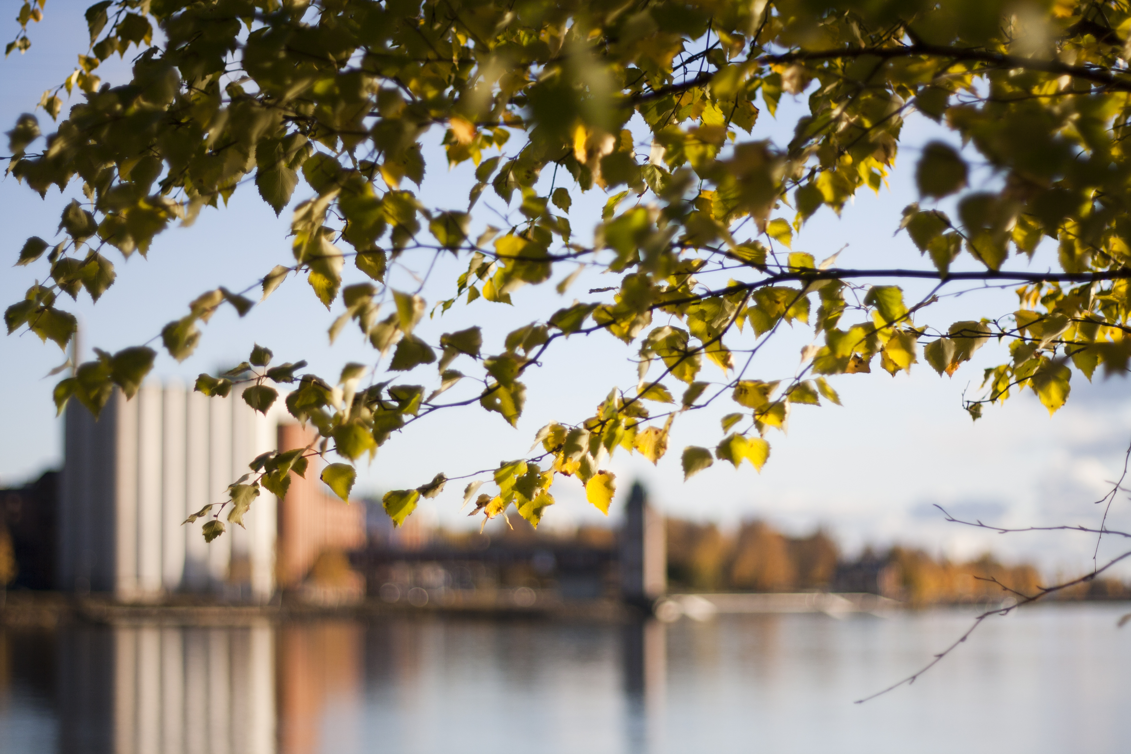 Åbo Akademi