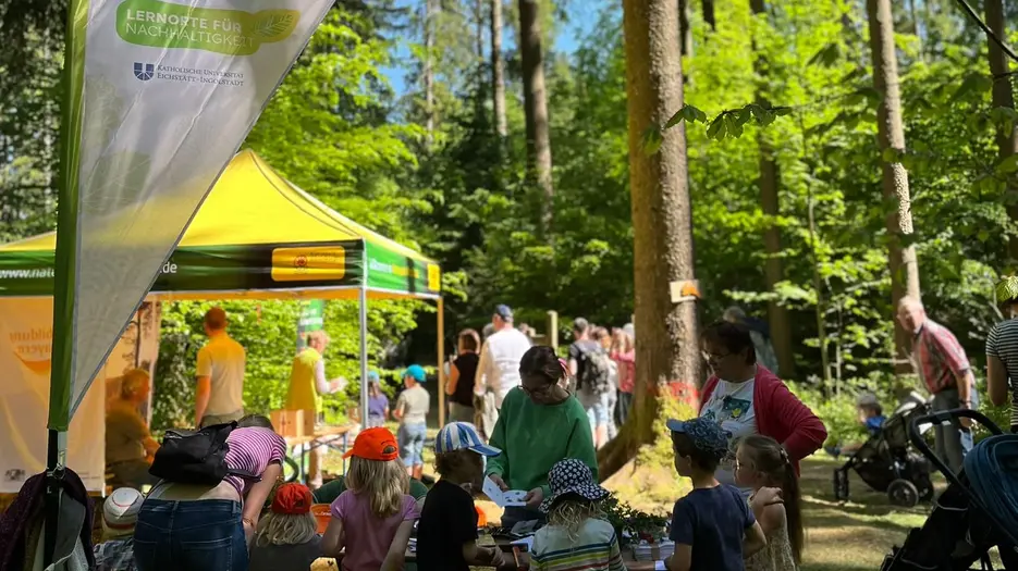 Waldfest in Schernfeld