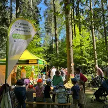 Waldfest in Schernfeld