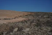 Exkursion LaPalma/Fuerteventura 2025