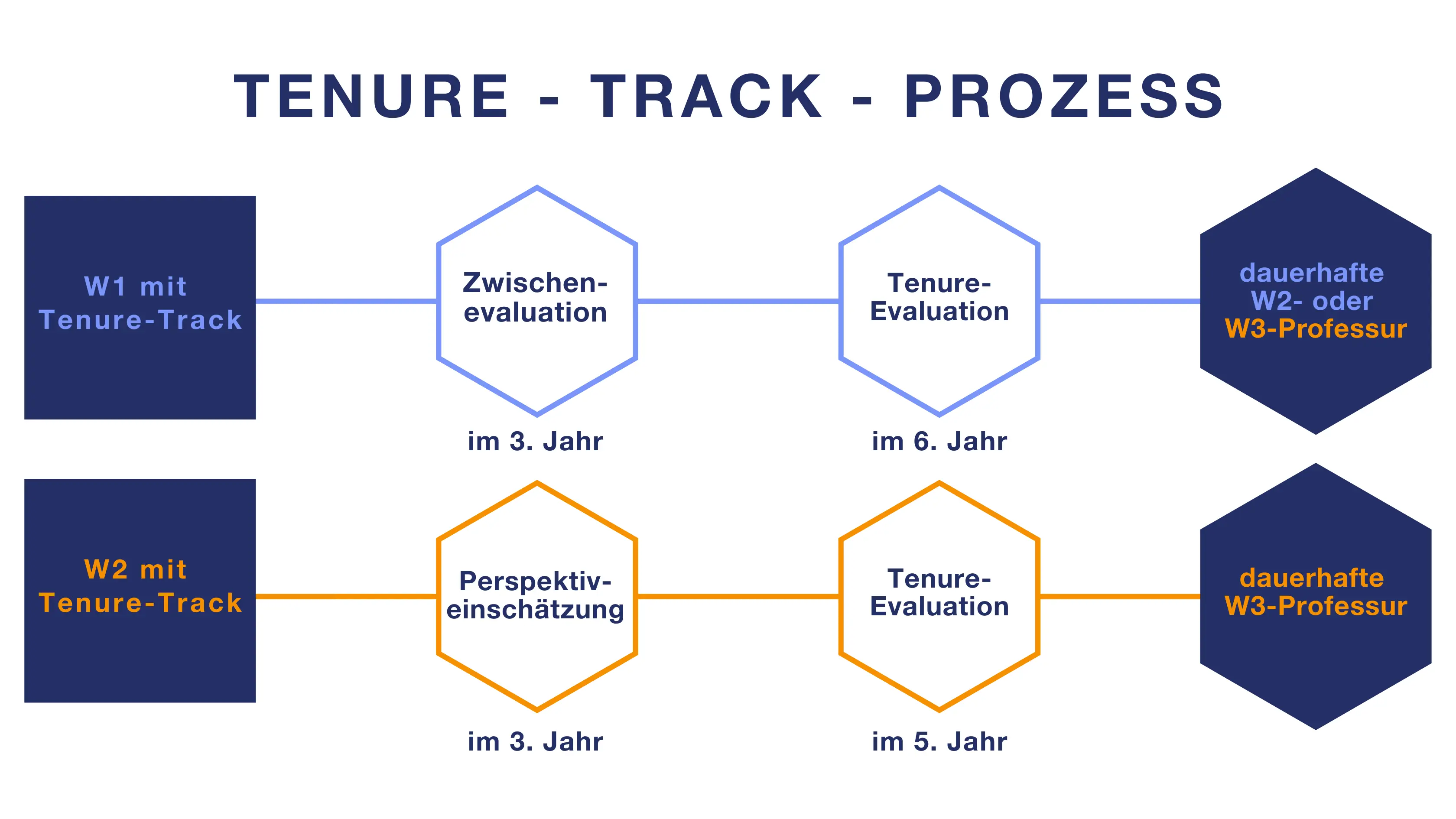 Tenure Track Prozess