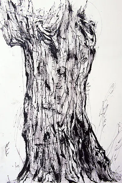 Carte blanche #13 Tamara Tunc Abb. 5