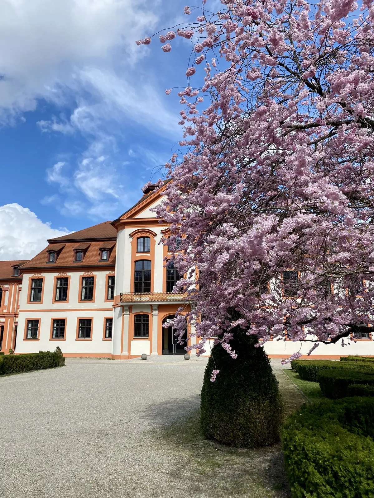 Willkommen zurück – Wir wünschen einen guten Start ins Semester! – KU