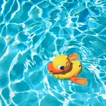 Badeente im Wasser