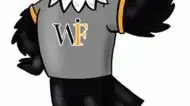 csm_WF_Eagle_b267c2c340_01.png