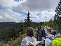 Blick in den Schwarzwald