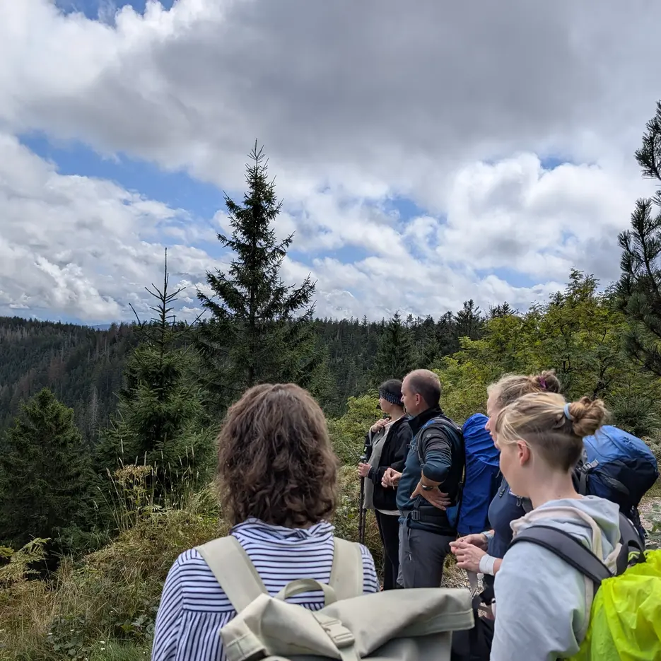 Blick in den Schwarzwald