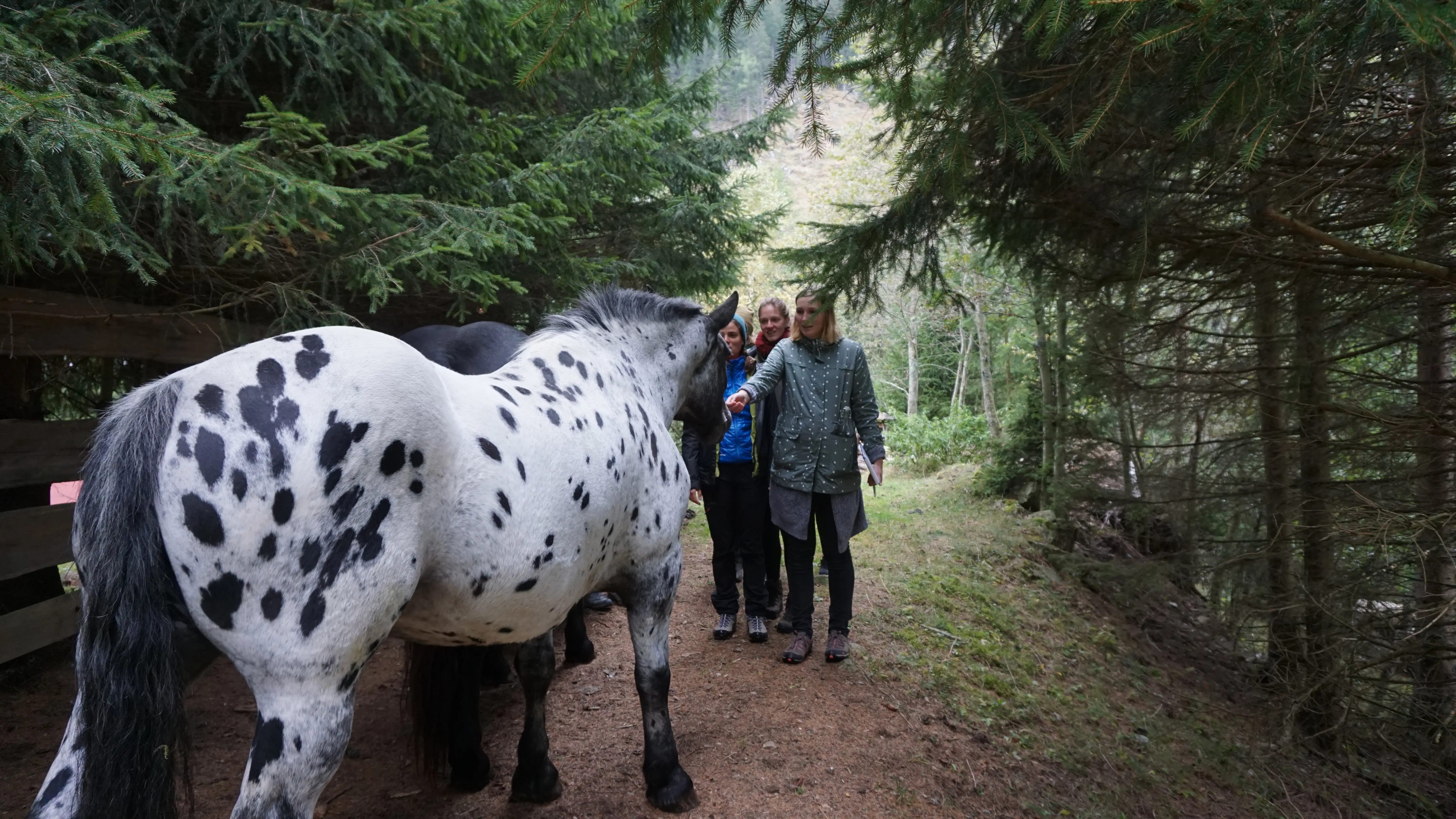 rangerlab im Nationalpark Hohe Tauern