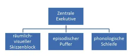  Arbeitsgedächtnis nach Baddley