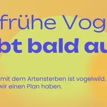 Klimaanpassung in Ingolstadt Vortrag mit Praxistipps