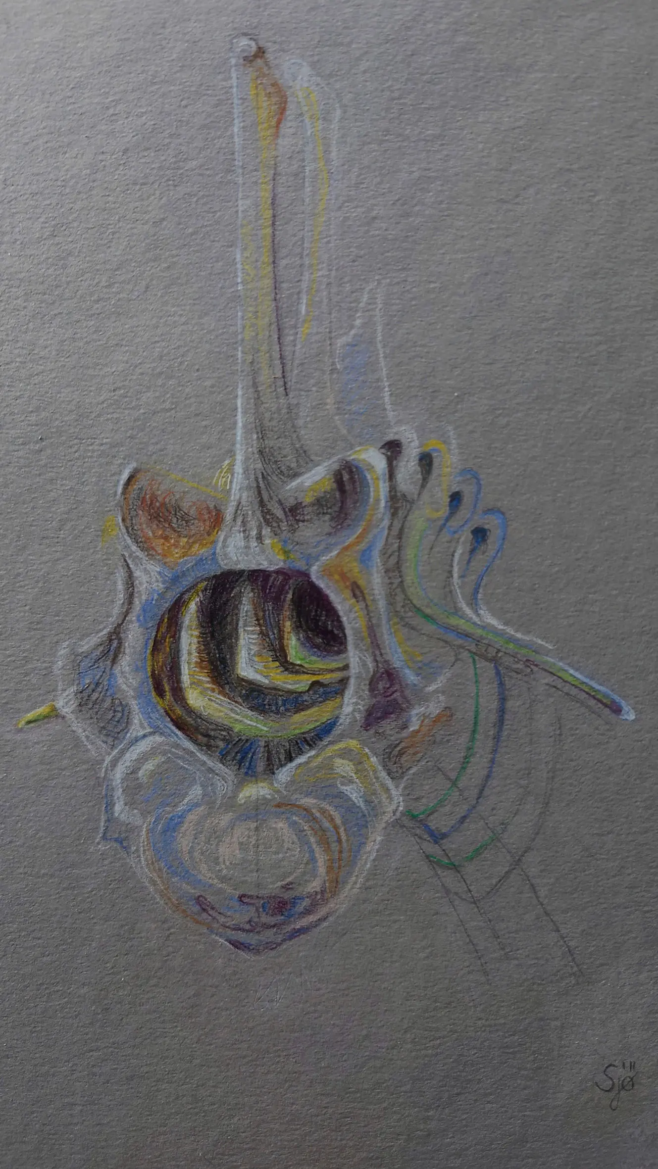 07_Inside_a_Vortex_klein