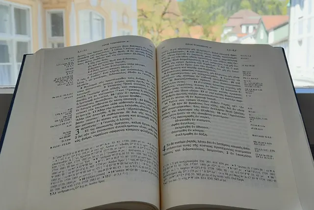 &Ouml;ffentliche Vorlesung