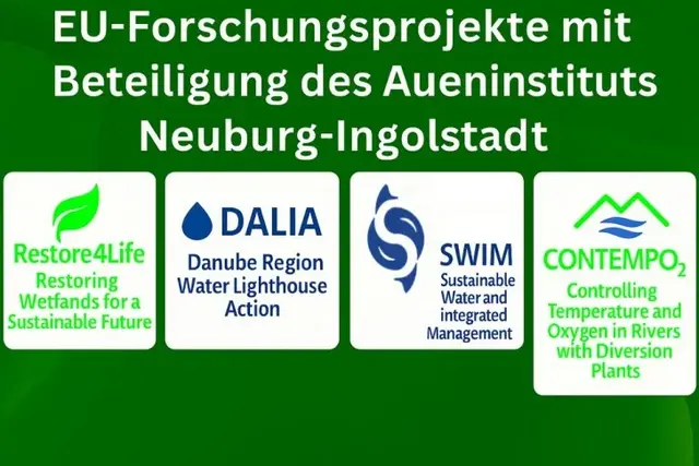 EU-Projekte