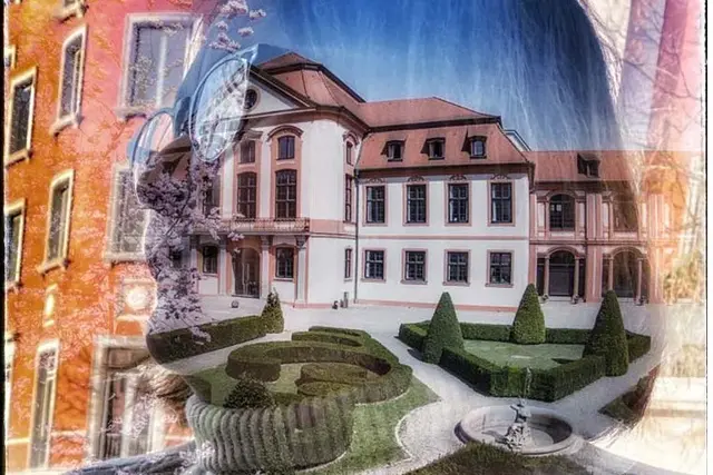 Projekt Febres