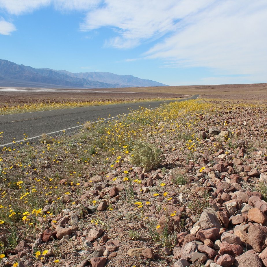 Death_Valley2.jpg