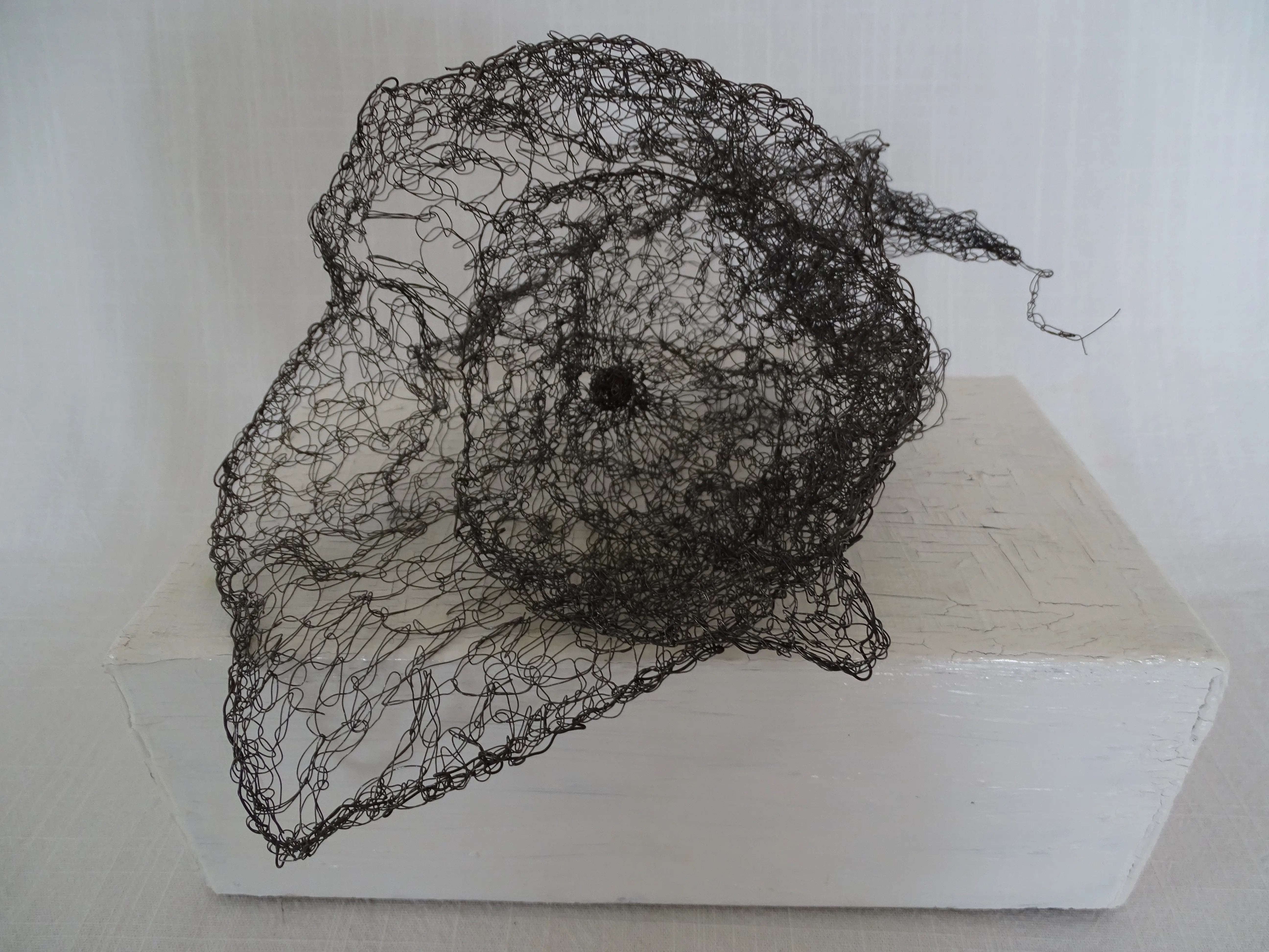 06_Elisabeth_Russer__Bluete__2019__Draht__ca._25x25x35cm.JPG 