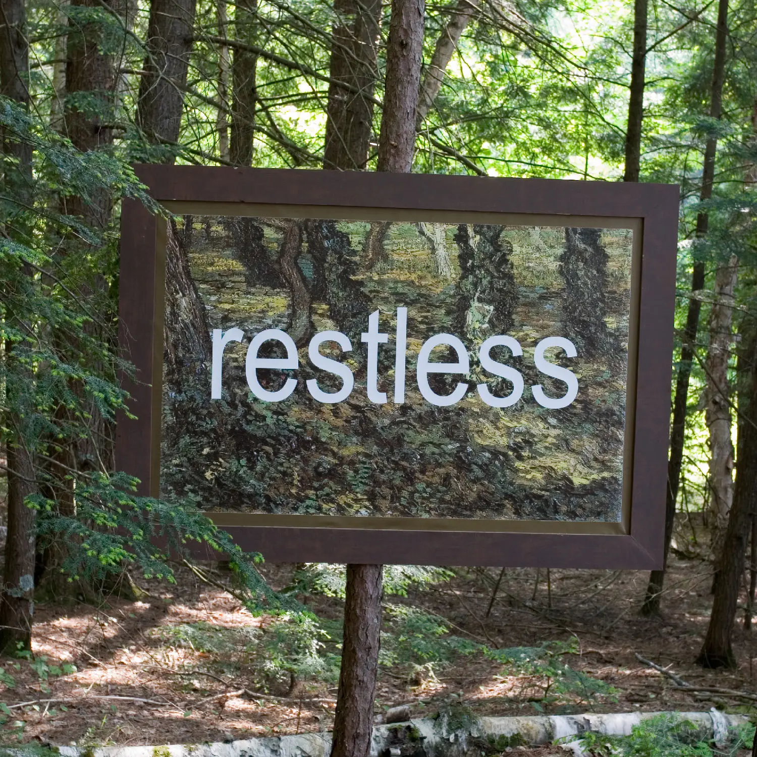 Forest Art Wisconsin 2007 Petia Knebel