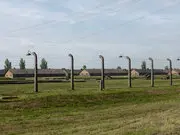 Auschwitz 2015