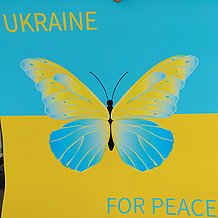 Der Text "Ukraine for Peace" auf einem Bild mit einem Schmetterling in blau-gelb und der ukrainischen Flagge