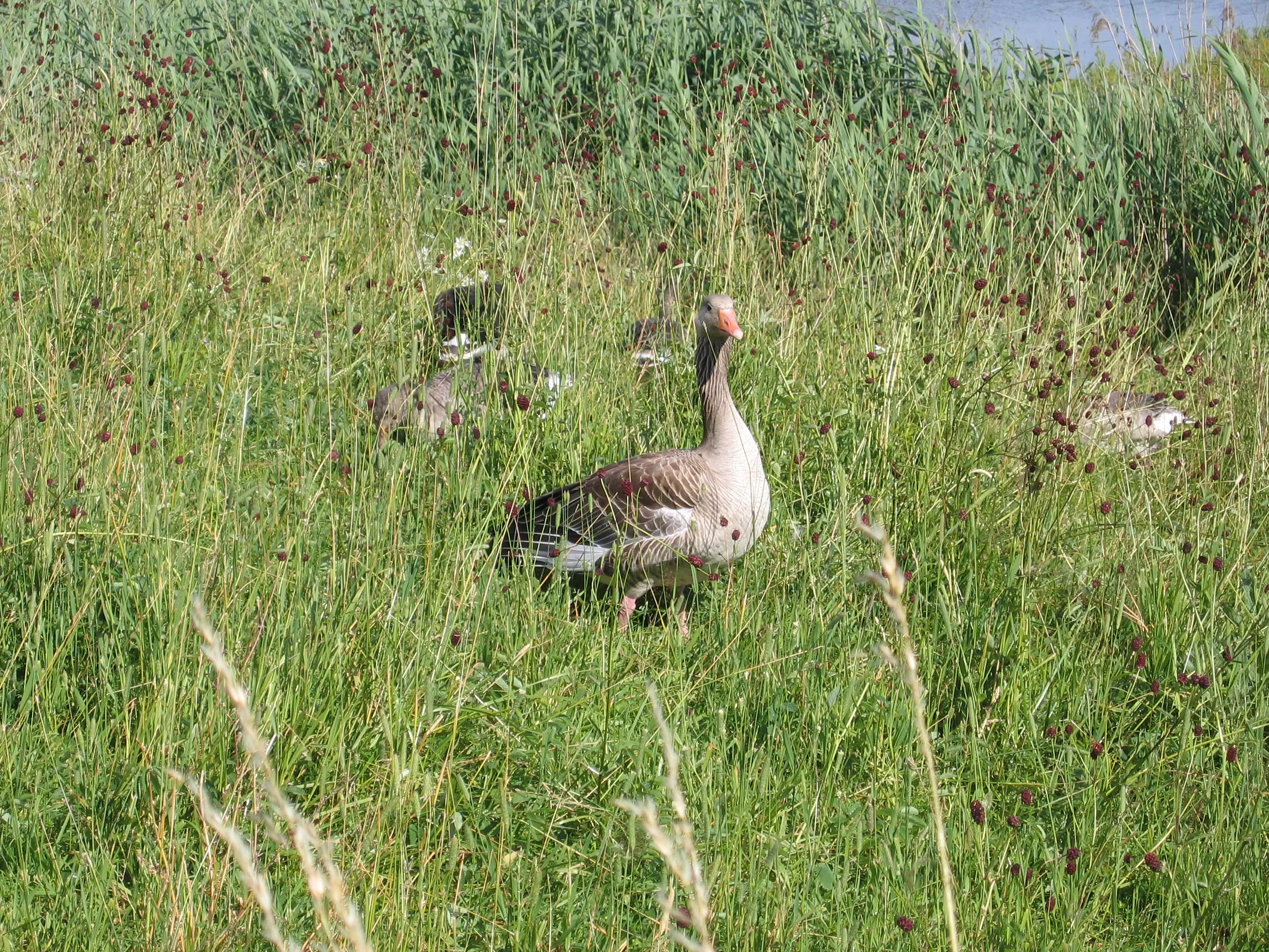 Fränkisches Seenland 