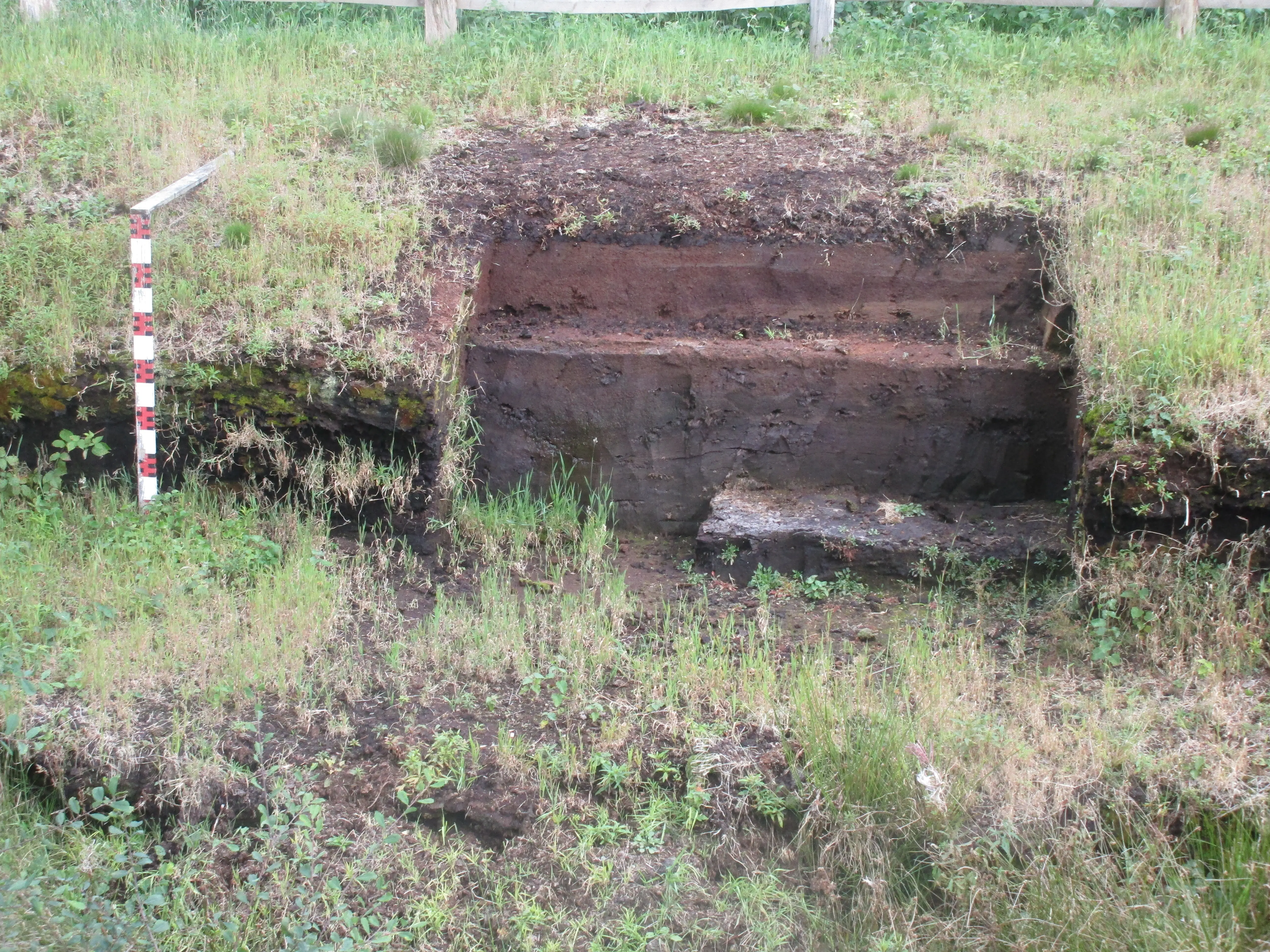 Moorlehrpfad Huvenhoopsmoor