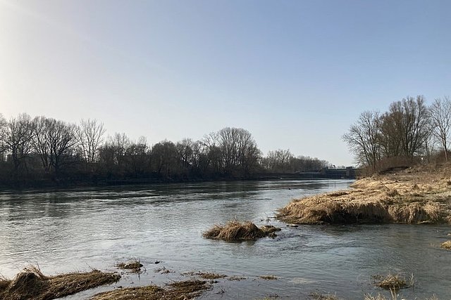 Einmündung Donau
