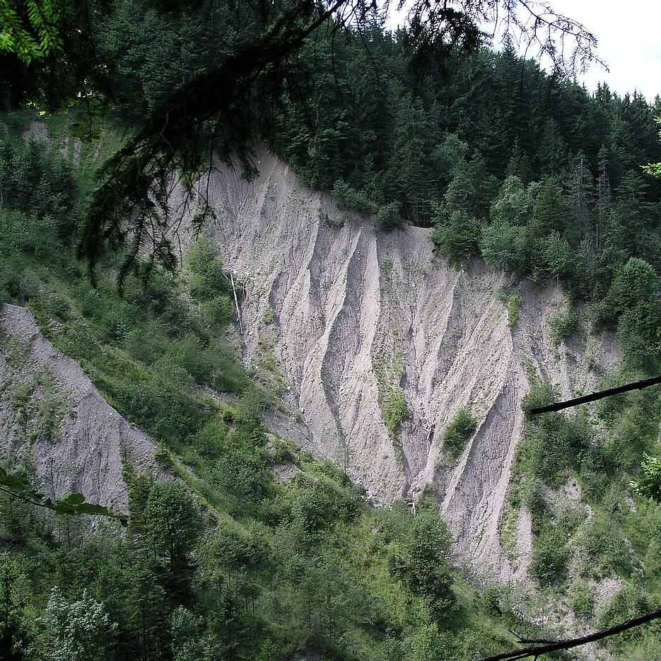 Photo einer der Reißen (Erosionsflächen, hier in Moränenmaterial ausgebildet) im Lainbach-Einzugsgebiet. 