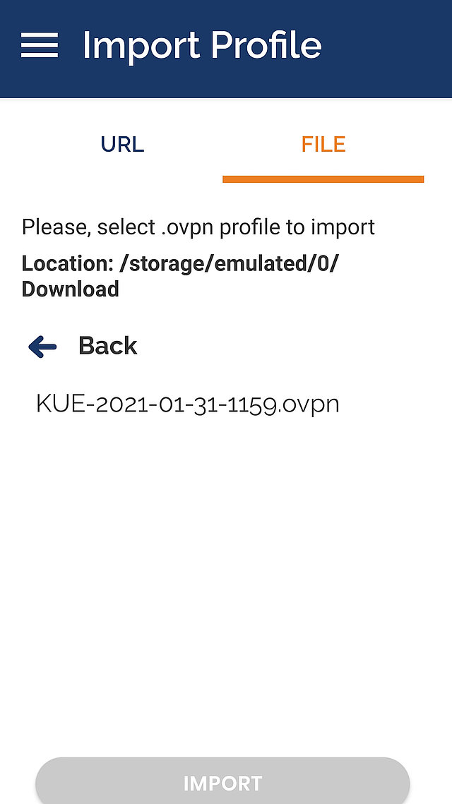 Screenshot: import of profile