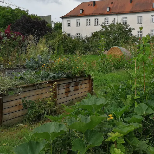 Kapuzinergarten