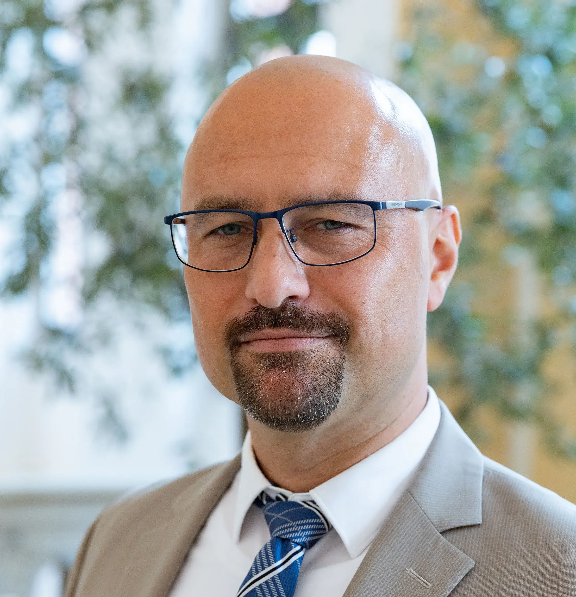 Prof. Dr. Thomas Hoffmann