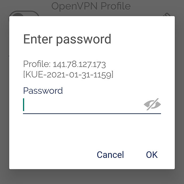 Screenshot zur Abfrage des Passworts