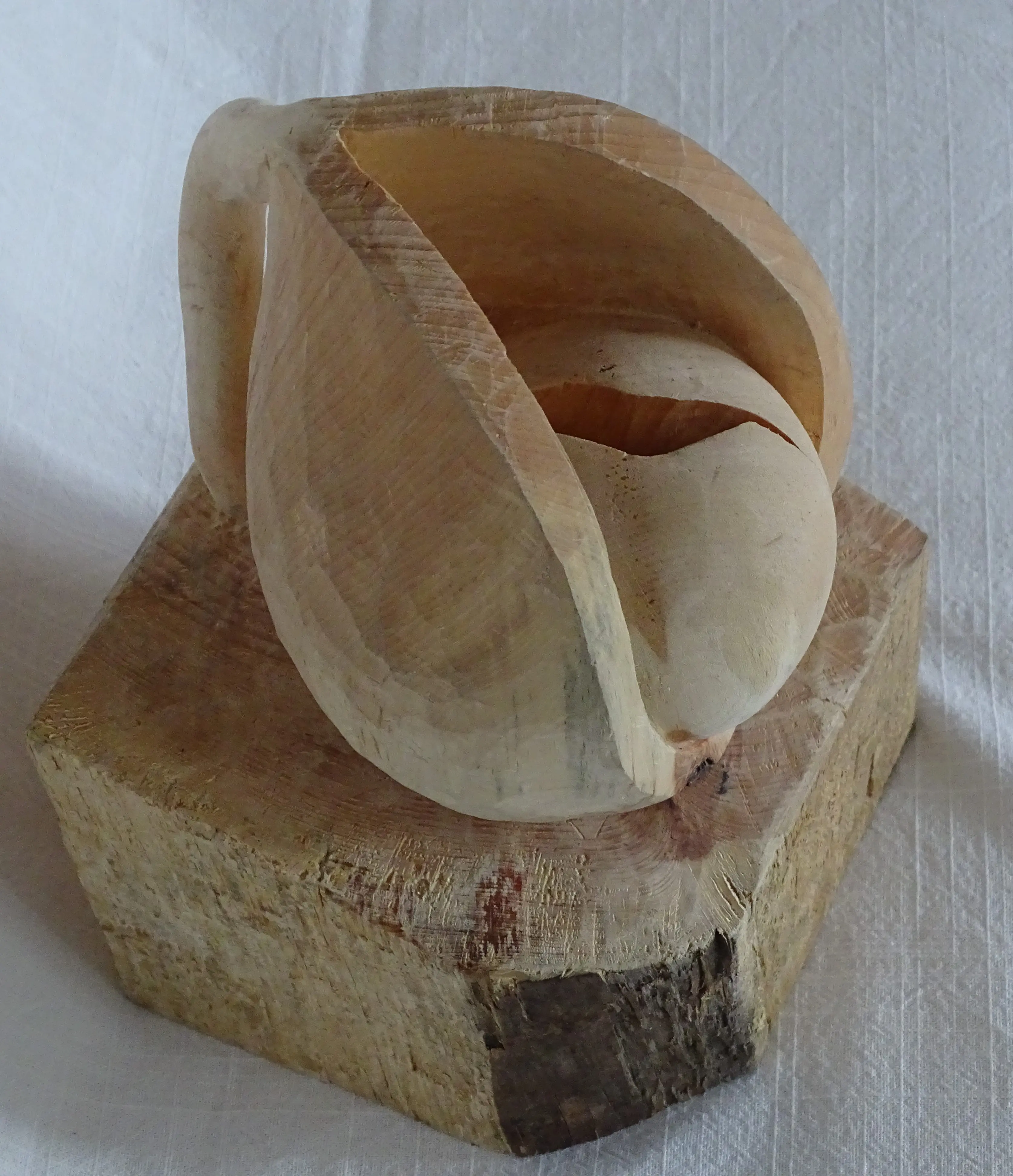 08_Elisabeth_Russer__Gekerbter_Same__2019__Holz__ca._30x20x20cm.JPG