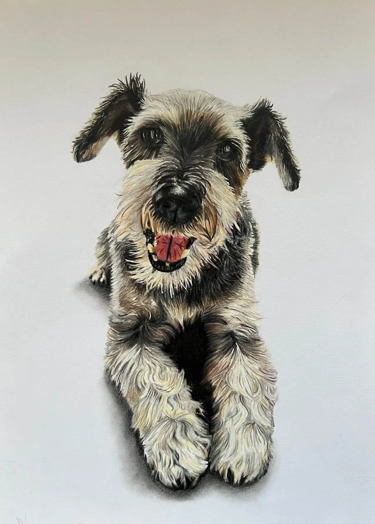 Carte blanche #112 Marietta Hofbauer