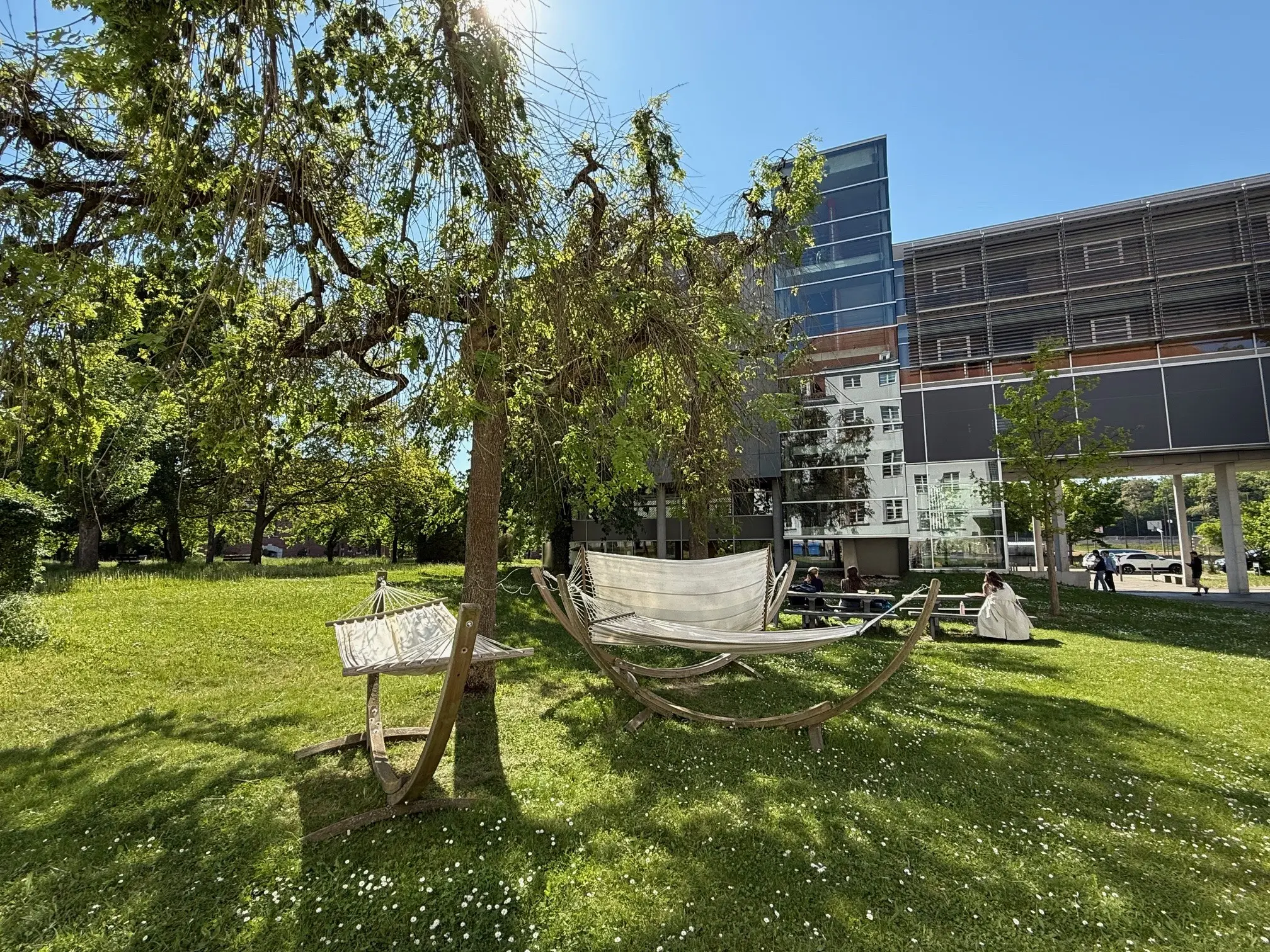 Obstgarten WFI bei strahlendem Sonnenschein