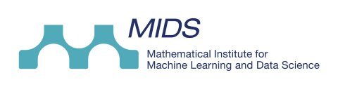 MIDS Logo englisch