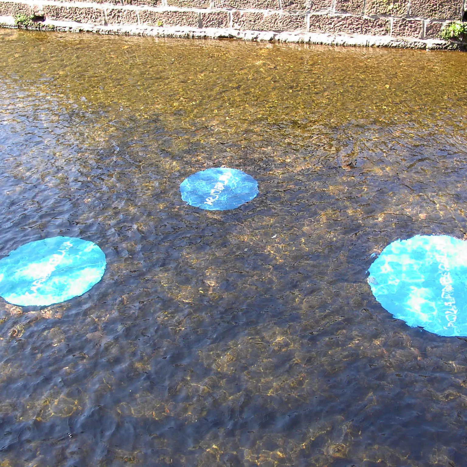 Blau im Fluss Petia Knebel 2003