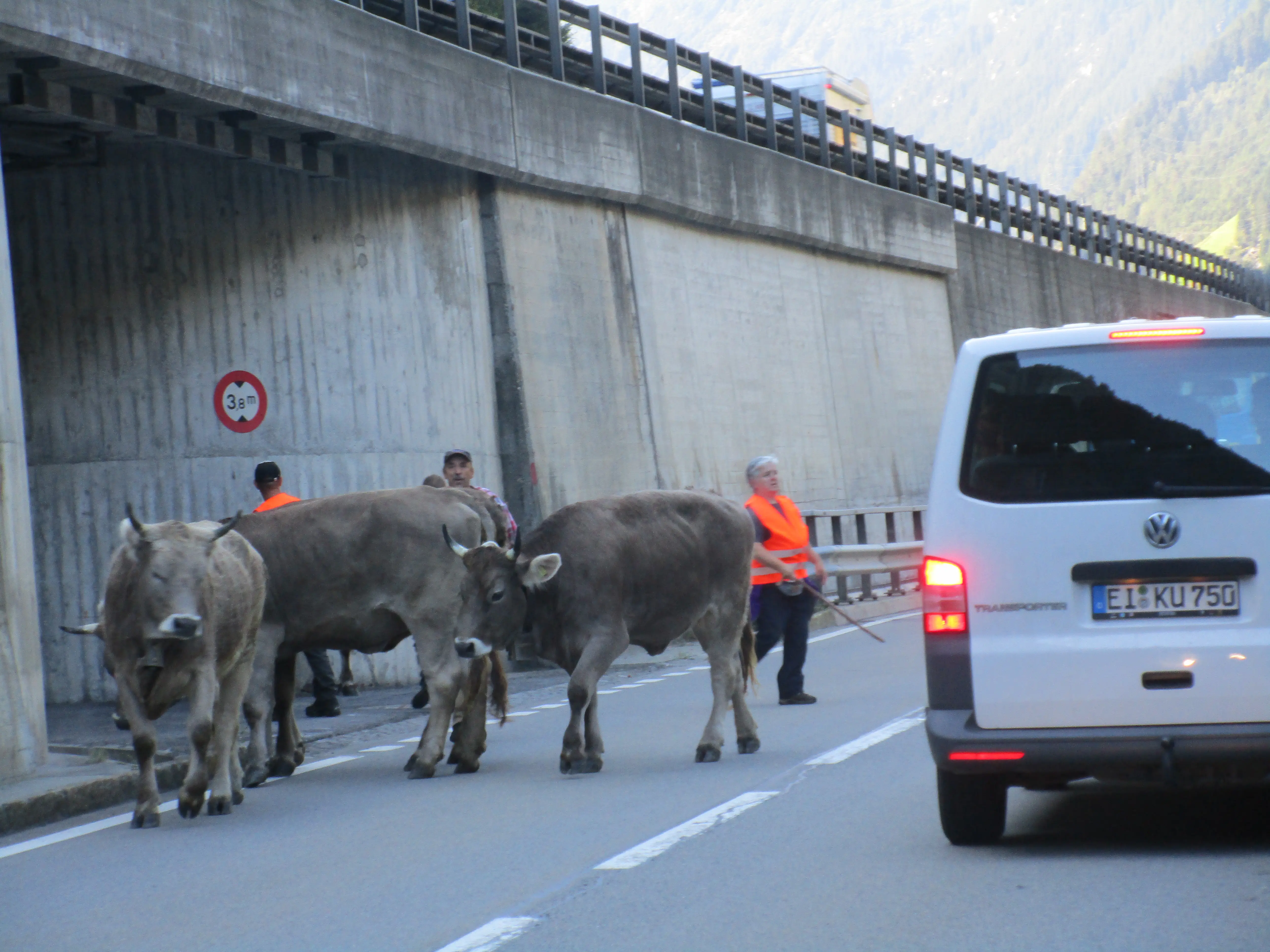 Exkursion Schweiz 
