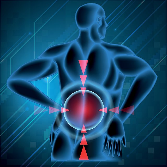 Ansicht eines 3D-Modells eines Menschen von hinten, der Schmerzen im unteren Rücken verspürt
