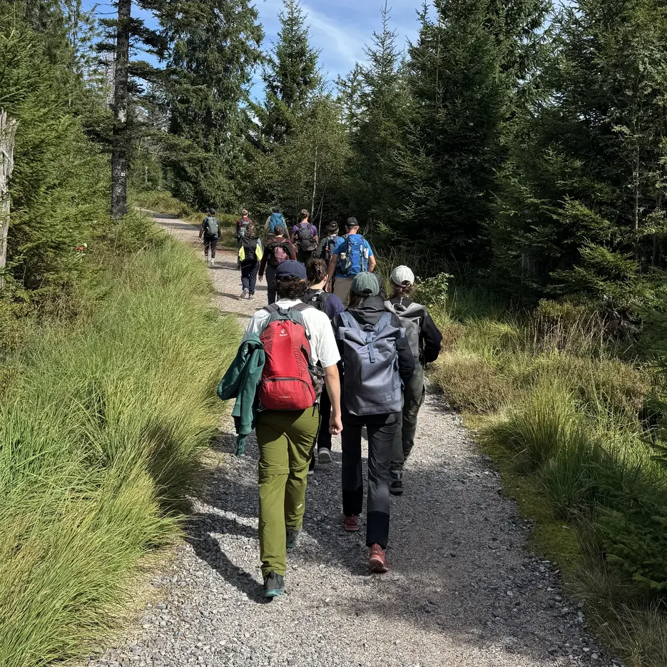 Schwarzwald