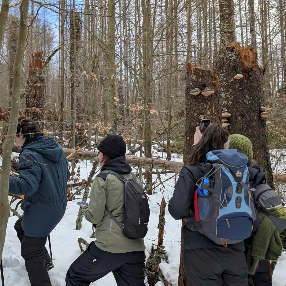 Wildniswanderung mit Lukas Laux