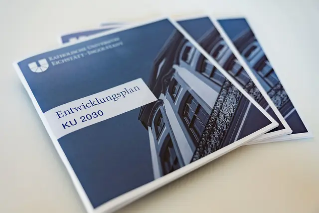 Entwicklungsplan