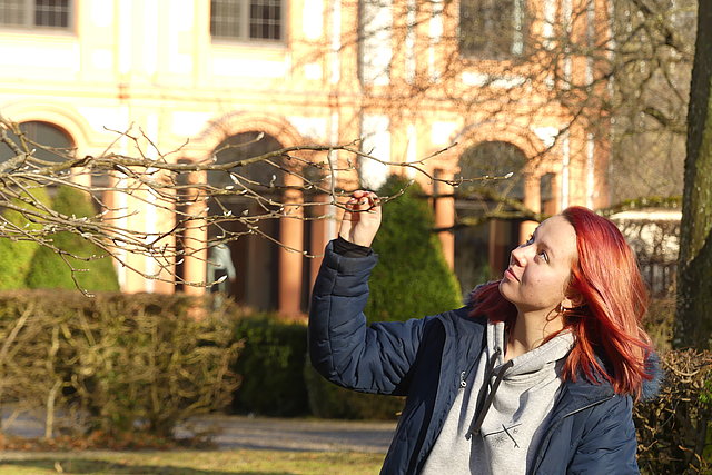 For several years, students of the Chair of Physical Geography/Landscape Ecology and Sustainable Ecosystem Development have been documenting the development of more than 100 trees and shrubs around the KU campus in Eichstätt several times a week.